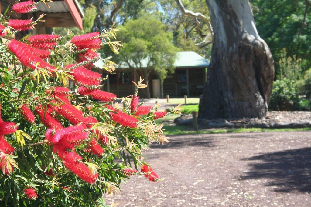 Southern Grampians Cottages Dunkeld Luaran gambar