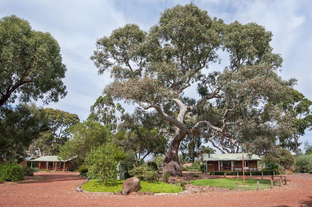 Southern Grampians Cottages Dunkeld Luaran gambar