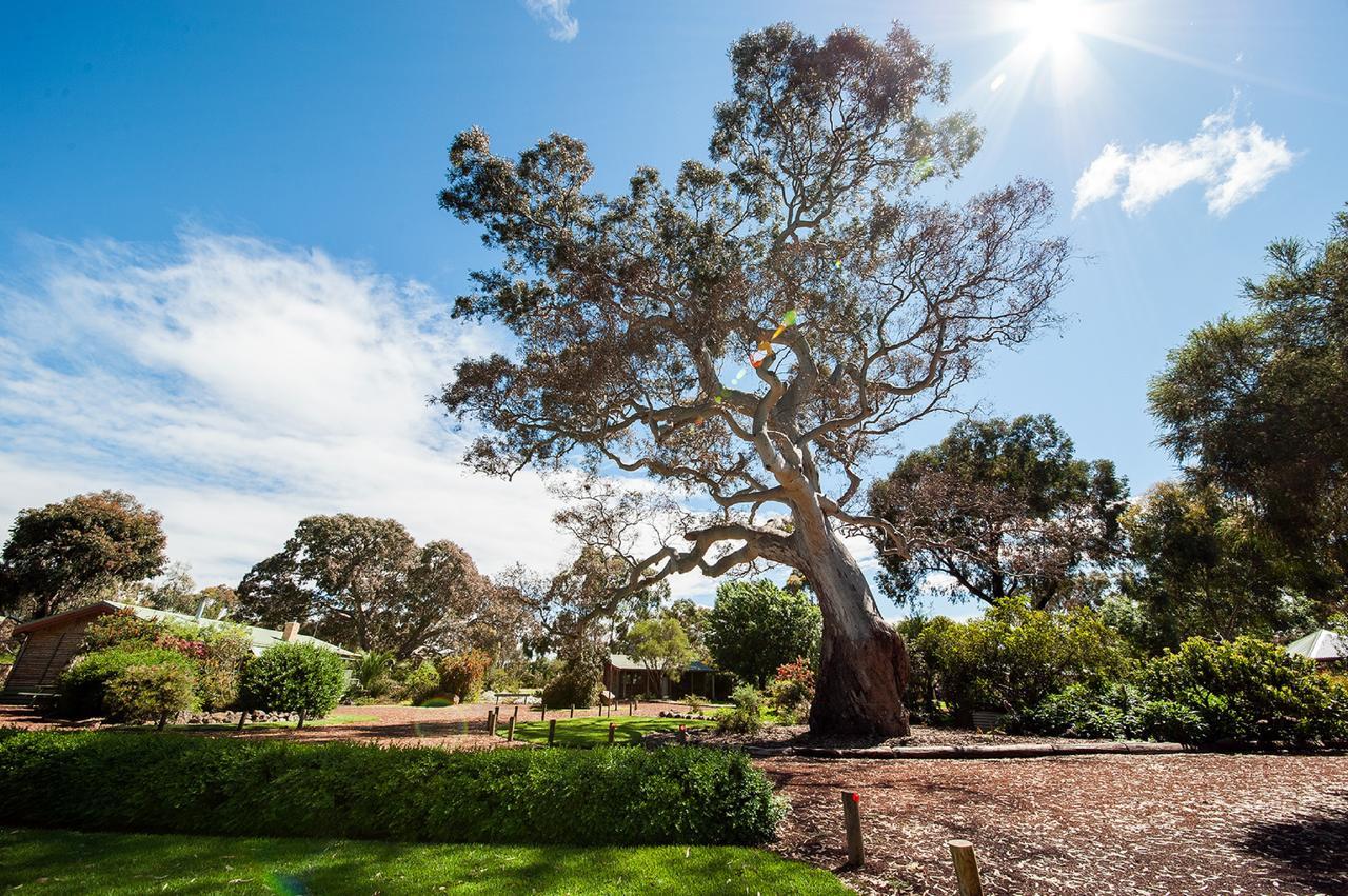 Southern Grampians Cottages Dunkeld Luaran gambar